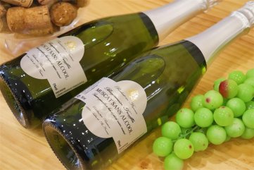国产红酒小蝌蚪短视频APP排行