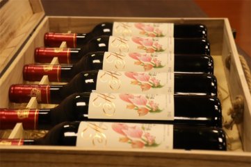 代理哪种法国进口红酒小蝌蚪短视频APP适合