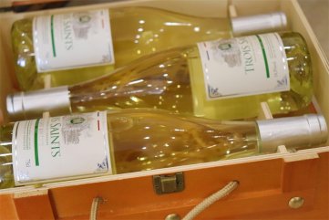 国产红酒小蝌蚪短视频APP排行怎样呢